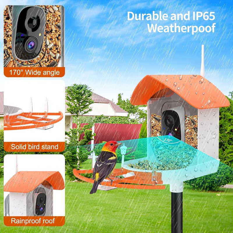 Gyozol Bird Feeder with Camera,Smart Bird Feeder Camera with Solar Powered,AI Identify Species,Birds Watching,Auto Record FHD 2K Feathered Visitor Video in Backyard,Ideal Gifts for Birds Lovers - Image 5